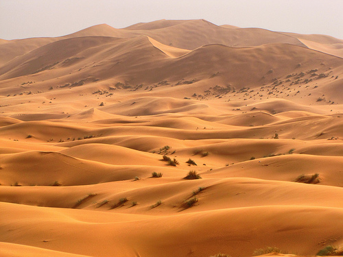 Sejarah asal-usul Gurun Sahara Dulu Pernah Hijau